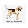 I Love my Bloodhound Postcards