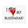 I Love My Bloodhound Postcard