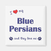 I Love My Blue Persians (Multiple Cats) Fridge Magnets