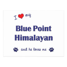 I Love My Blue Point Himalayan (Male Cat) Postcards