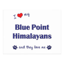 I Love My Blue Point Himalayans (Multiple Cats) Postcards