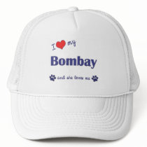 I Love My Bombay (Female Cat) Hat