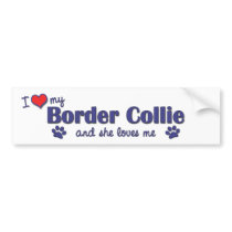 I Love My Border Collie (Female Dog) Bumper Stickers