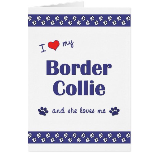 I Love My Border Collie (Female Dog) Card