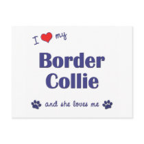I Love My Border Collie (Female Dog) Postcards