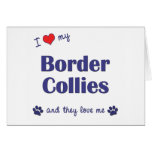 I Love My Border Collies (Multiple Dogs) Greeting Card