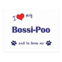 I Love My Bossi-Poo (Male Dog) Postcard