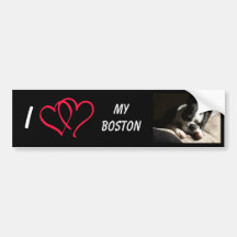 I Love My Boston Bumper Stickers