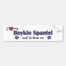 I Love My Boykin Spaniel (Male Dog) Bumper Stickers