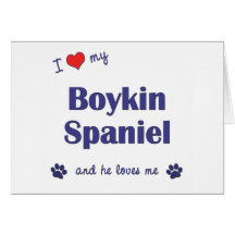 I Love My Boykin Spaniel (Male Dog) Greeting Card