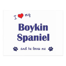 I Love My Boykin Spaniel (Male Dog) Postcards