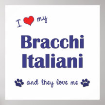 I Love My Bracchi Italiani (Multiple Dogs) Posters