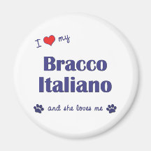 I Love My Bracco Italiano (Female Dog) Refrigerator Magnet