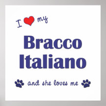 I Love My Bracco Italiano (Female Dog) Print
