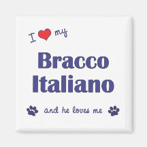I Love My Bracco Italiano (Male Dog) Magnet