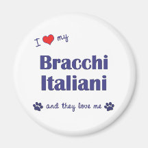I Love My Bracco Italiano (Multiple Dogs) Magnet