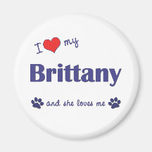 I Love My Brittany (Female Dog) Magnets