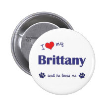 I Love My Brittany (Male Dog) Button