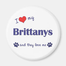 I Love My Brittanys (Multiple Dogs) Magnets
