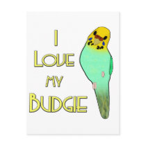 I Love My Budgie Postcard