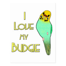 I Love My Budgie Postcard