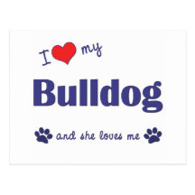 I Love My Bulldog (Female Dog) Postcards