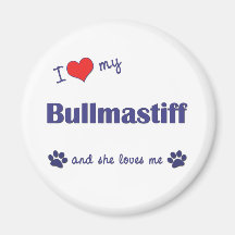 I Love My Bullmastiff (Female Dog) Magnets