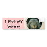 I love my bunny bumper sticker