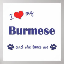 I Love My Burmese (Female Cat) Posters
