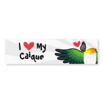 I Love My Caique / Lovebird / Pionus / Parrot