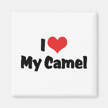 I Love My Camel Fridge Magnet