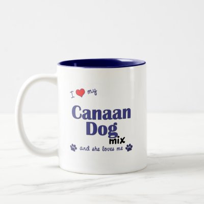 Canaan Dog Mix