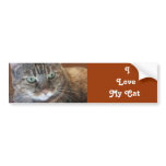 I   Love   My Cat Bumper Sticker