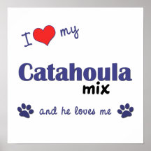 I Love My Catahoula Mix (Male Dog) Poster Print