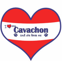 I Love My Cavachon (Female Dog) Photo Cut Outs