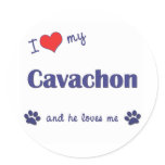 I Love My Cavachon (Male Dog) stickers