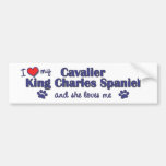 I Love My Cavalier King Charles (Female Dog) Bumper Stickers