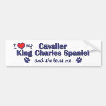 I Love My Cavalier King Charles (Female Dog) Bumper Stickers