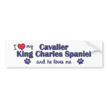 I Love My Cavalier King Charles Spaniel (Male Dog) Bumper Stickers