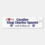 I Love My Cavalier King Charles Spaniel (Male Dog) Bumper Stickers
