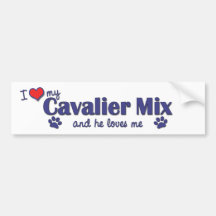 I Love My Cavalier Mix (Male Dog) Bumper Sticker