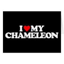 I LOVE MY CHAMELEON GREETING CARDS
