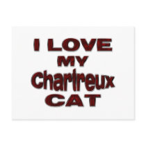 I LOVE MY CHARTREUX CAT drk rd Postcards