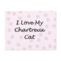I Love My Chartreux Cat Postcards