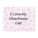 I Love My Chartreux Cat postcards