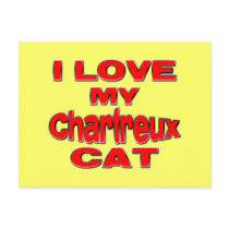 I LOVE MY CHARTREUX CAT rd Post Card