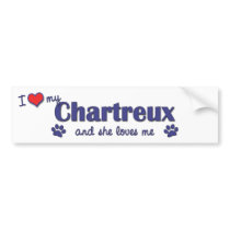 I Love My Chartreux (Female Cat) Bumper Stickers