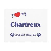 I Love My Chartreux (Female Cat) Postcards