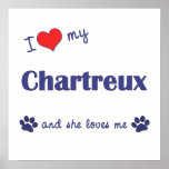 I Love My Chartreux (Female Cat) Posters