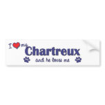 I Love My Chartreux (Male Cat) Bumper Stickers